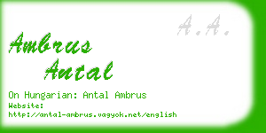 ambrus antal business card